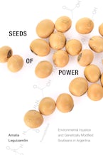 Seeds of Power
