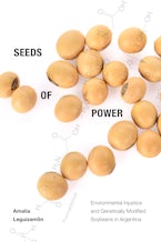 Seeds of Power