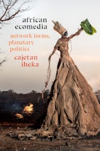 African Ecomedia